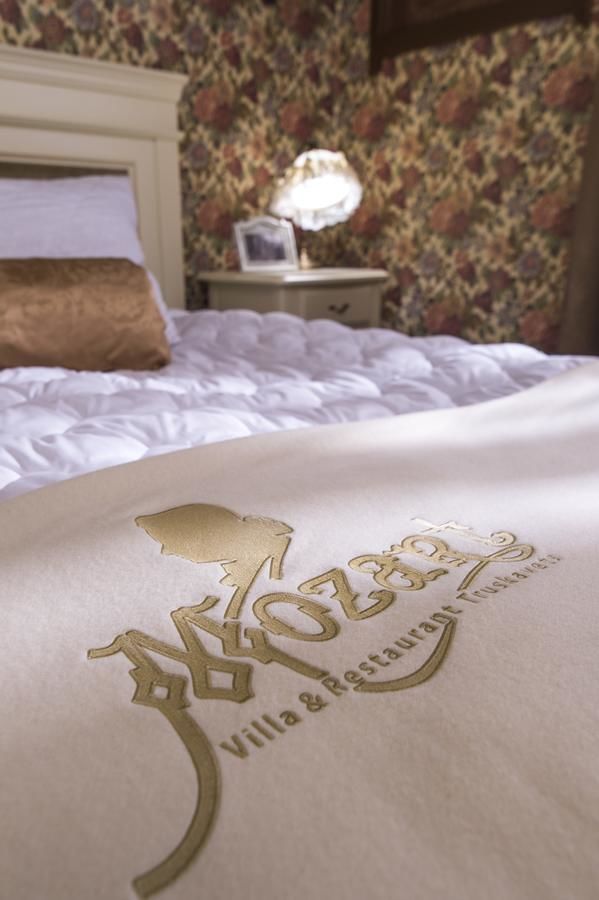 Отель Villa Mozart Трускавец