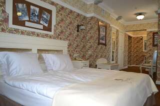 Отель Villa Mozart Трускавец Большой двухместный номер с 1 кроватью-3